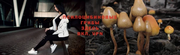 сатива Алексин