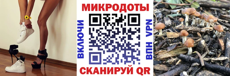 Галлюциногенные грибы Cubensis Сольвычегодск